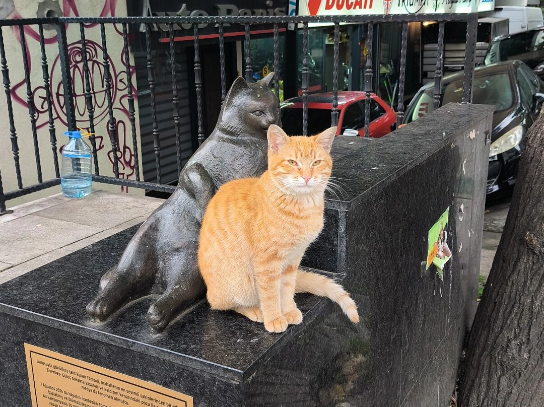 Monuemnt to the Cat Tombili-伊斯坦布尔必去景点