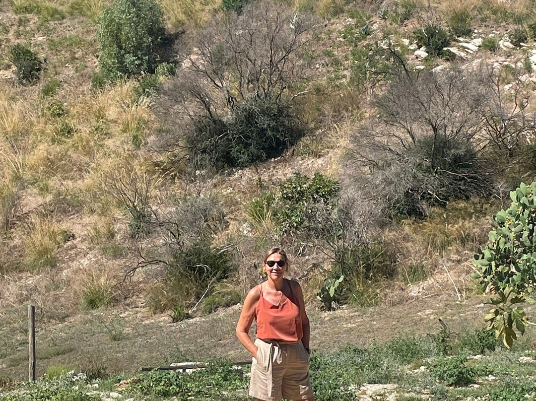 Tempio Di Segesta-Calatafimi-Segesta必去景点