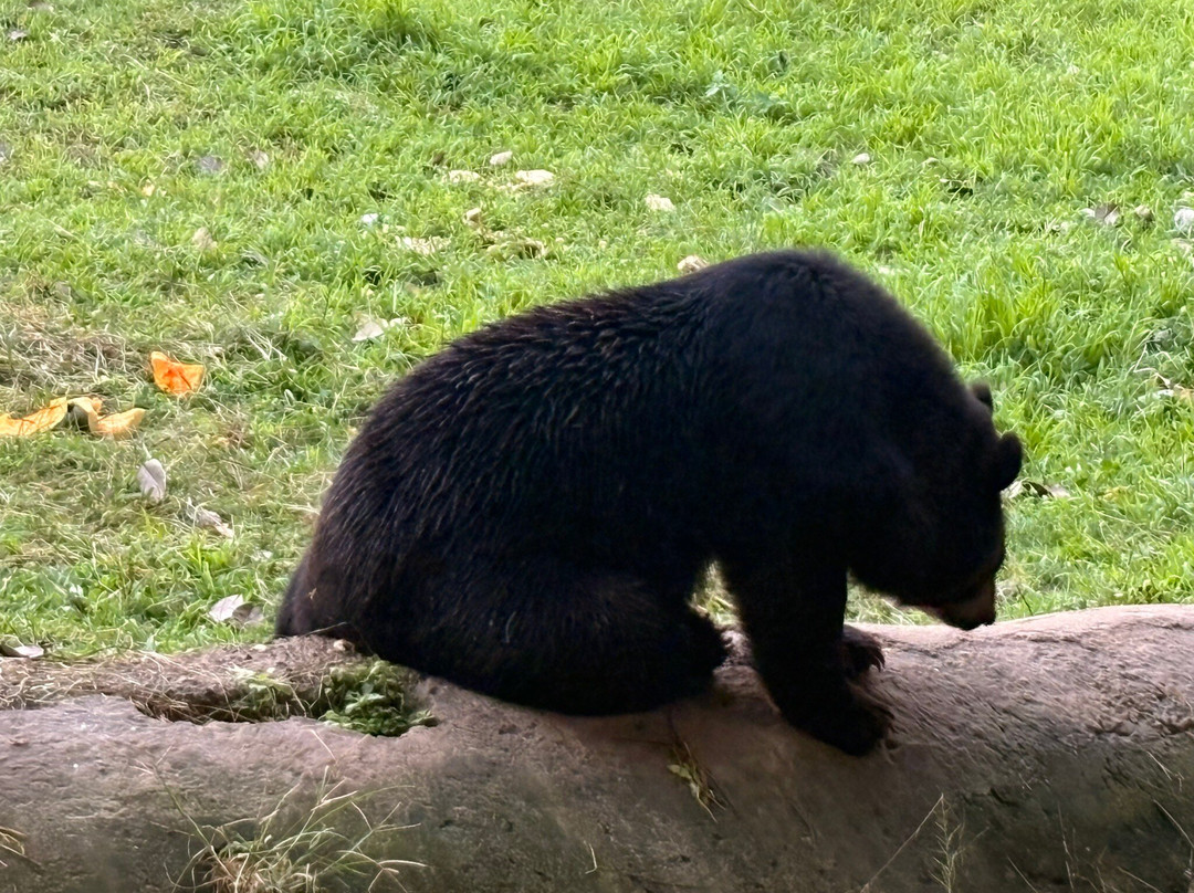 Manipur Zoological Gardens-因帕尔必去景点