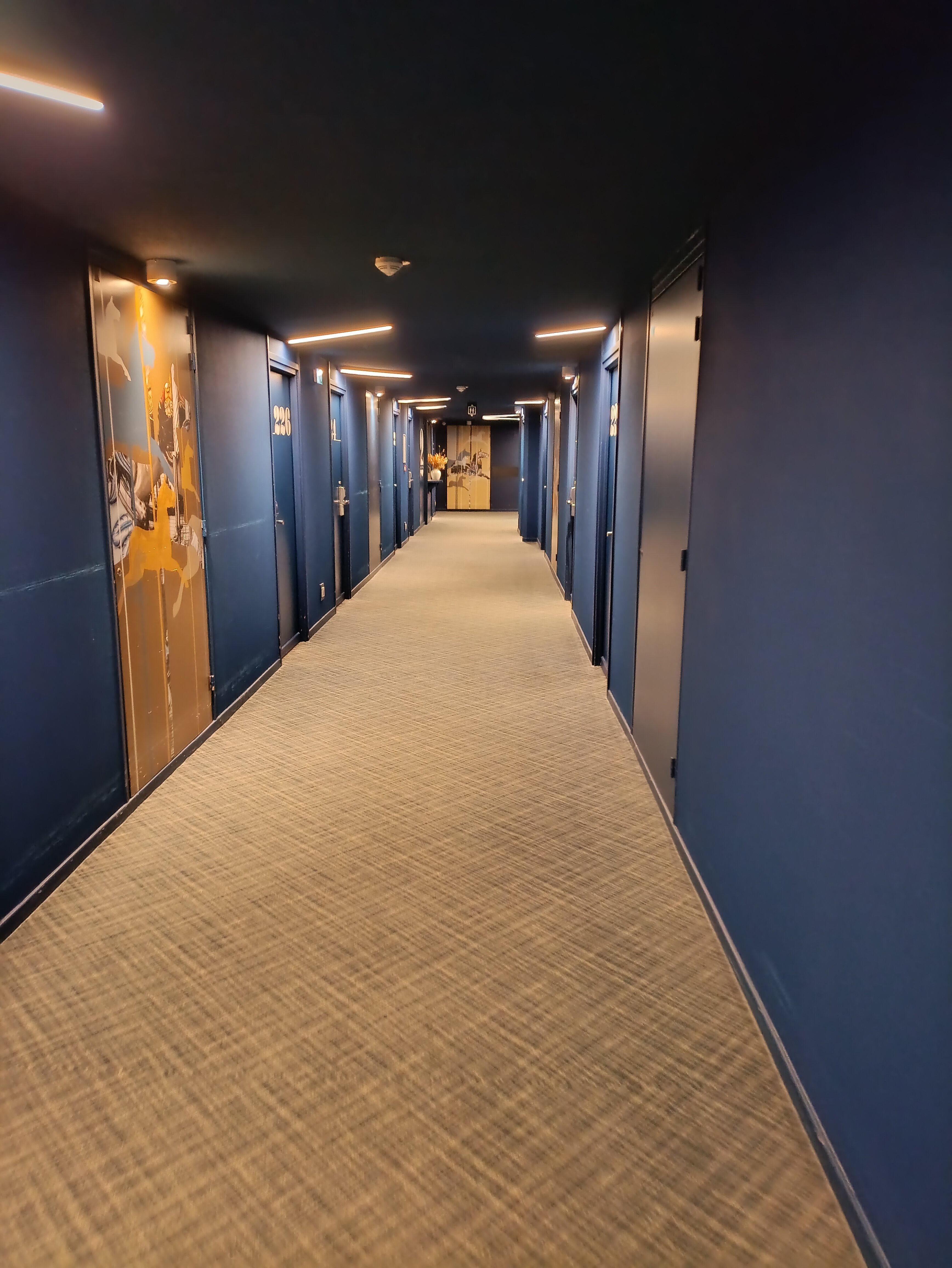 皇家枫丹白露水星酒店-官方