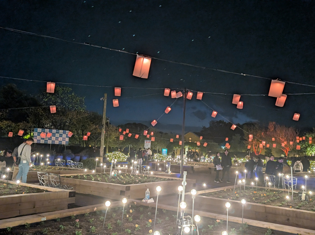 名花之乡-桑名市必去景点