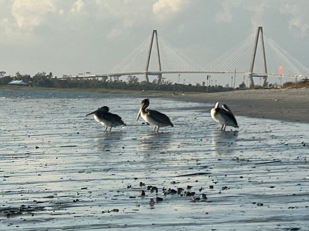 Charleston Fossil Adventures-查尔斯顿必去景点