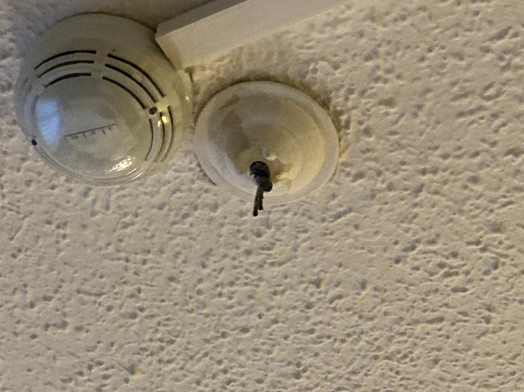 Polat Thermal Hotel主图