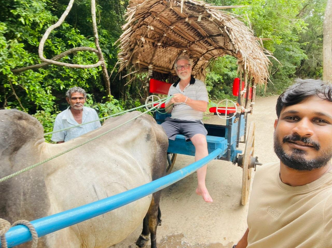 Lanka Tour Experts-加勒必去景点