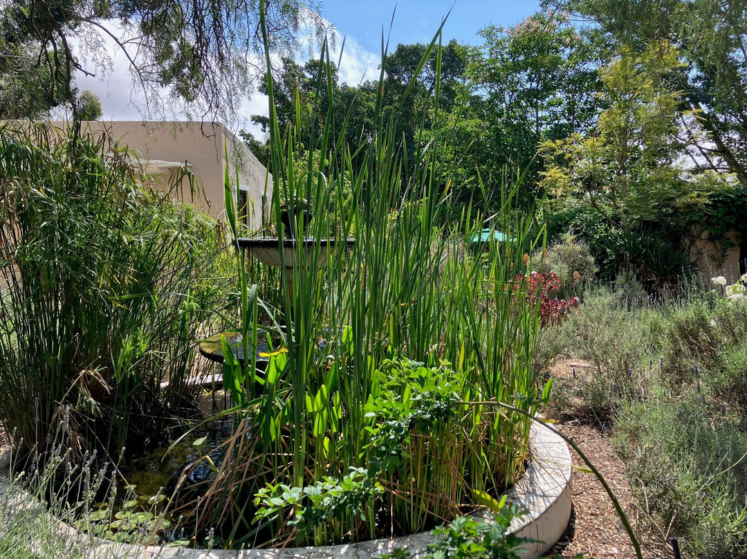 Darling Lodge Guest House主图