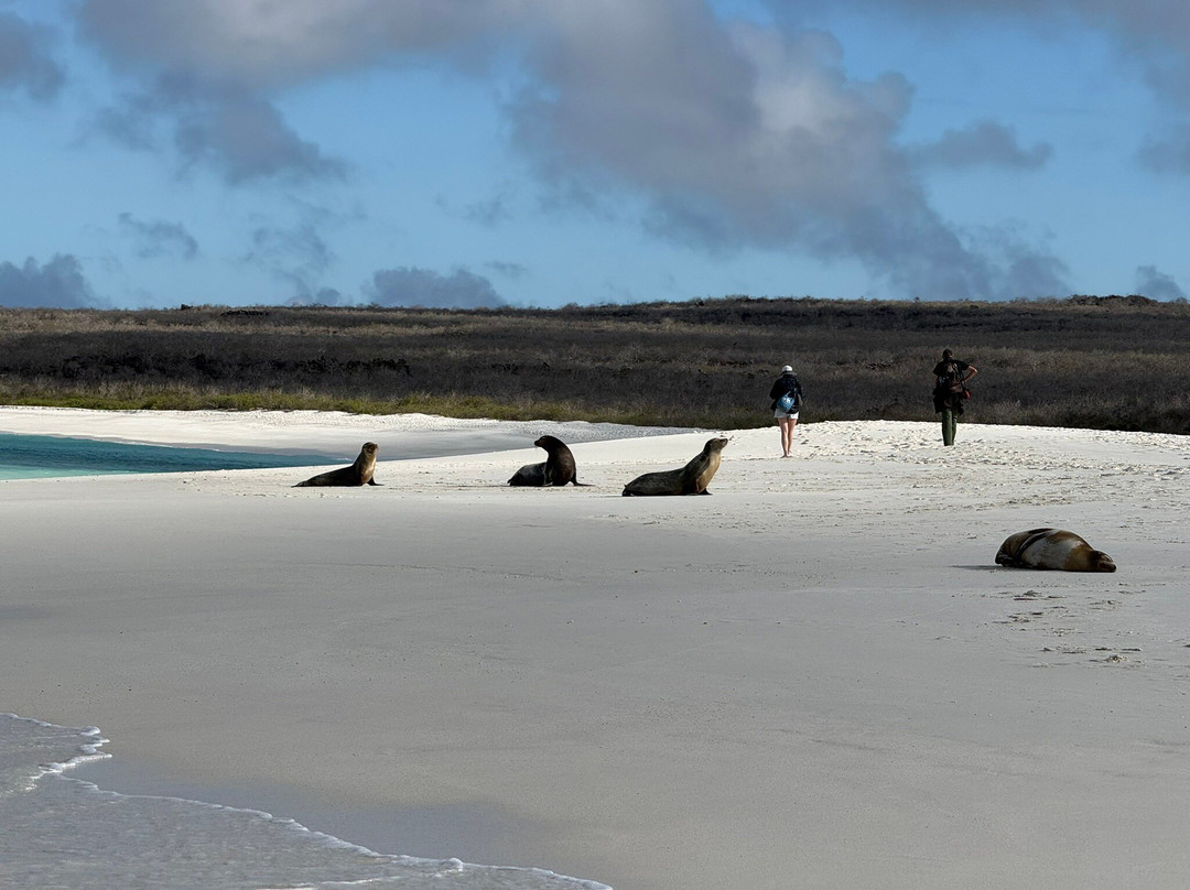 Rolf Wittmer & Tip Top Travel - Galapagos Cruises-阿约拉港必去景点