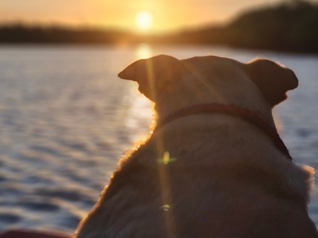 Ecomar Boipeba Ecoturismo Marinho-Ilha de Boipeba必去景点
