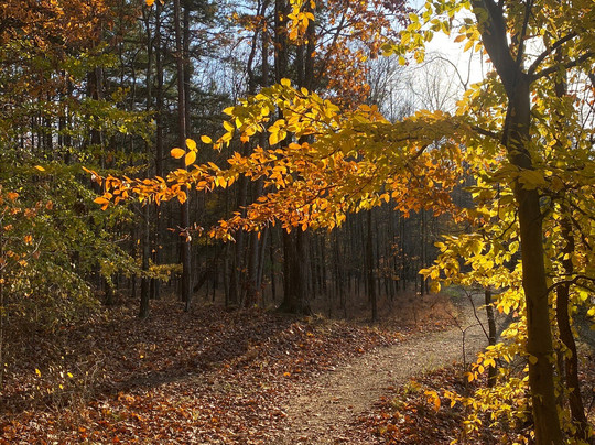 Waverly Park-路易斯维尔必去景点
