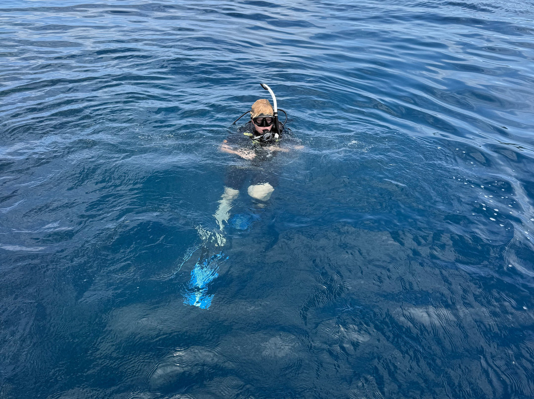 Diveaway Fiji-辛加东卡必去景点