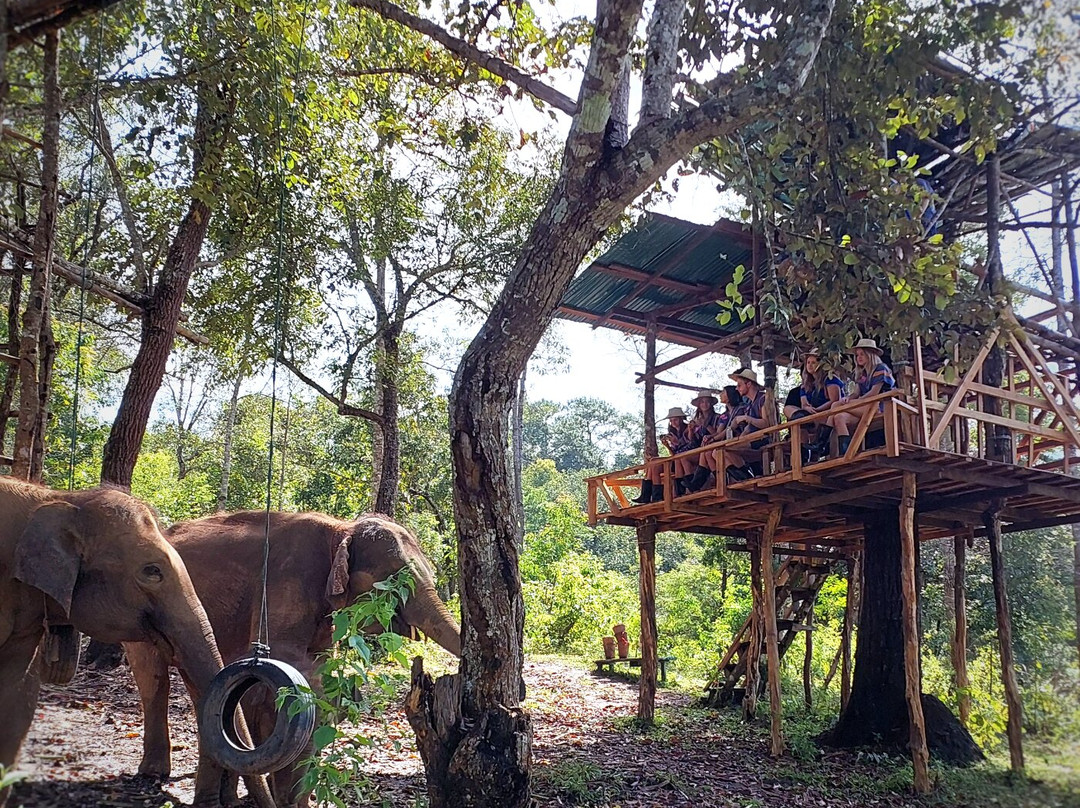 Blue Daily Elephant Care Sanctuary-清迈必去景点