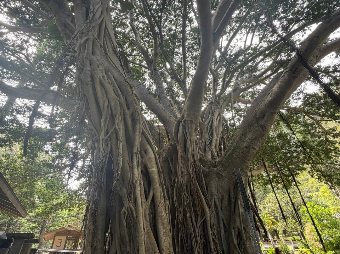 Kepaniwai Park & Heritage Gardens-怀露库必去景点