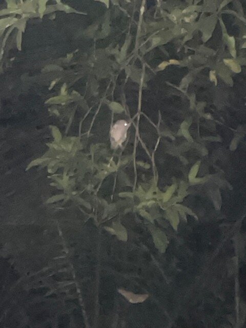 Marari Beach - CGH Earth-浴室