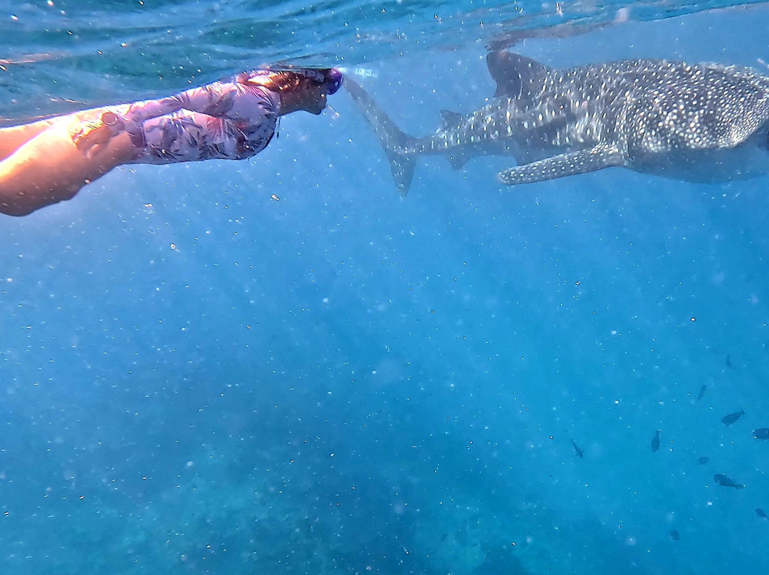 Dharavandhoo Divers-Dharavandhoo必去景点