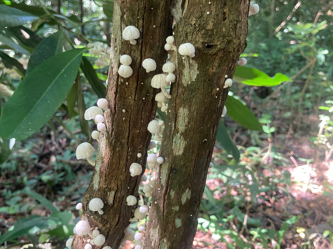 Reserva Natural Sanguare-Rincon del Mar必去景点