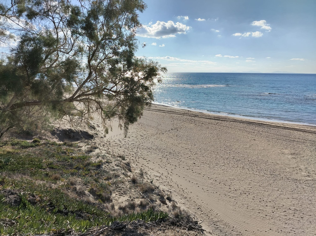 Limni Beach-Apolakkia必去景点