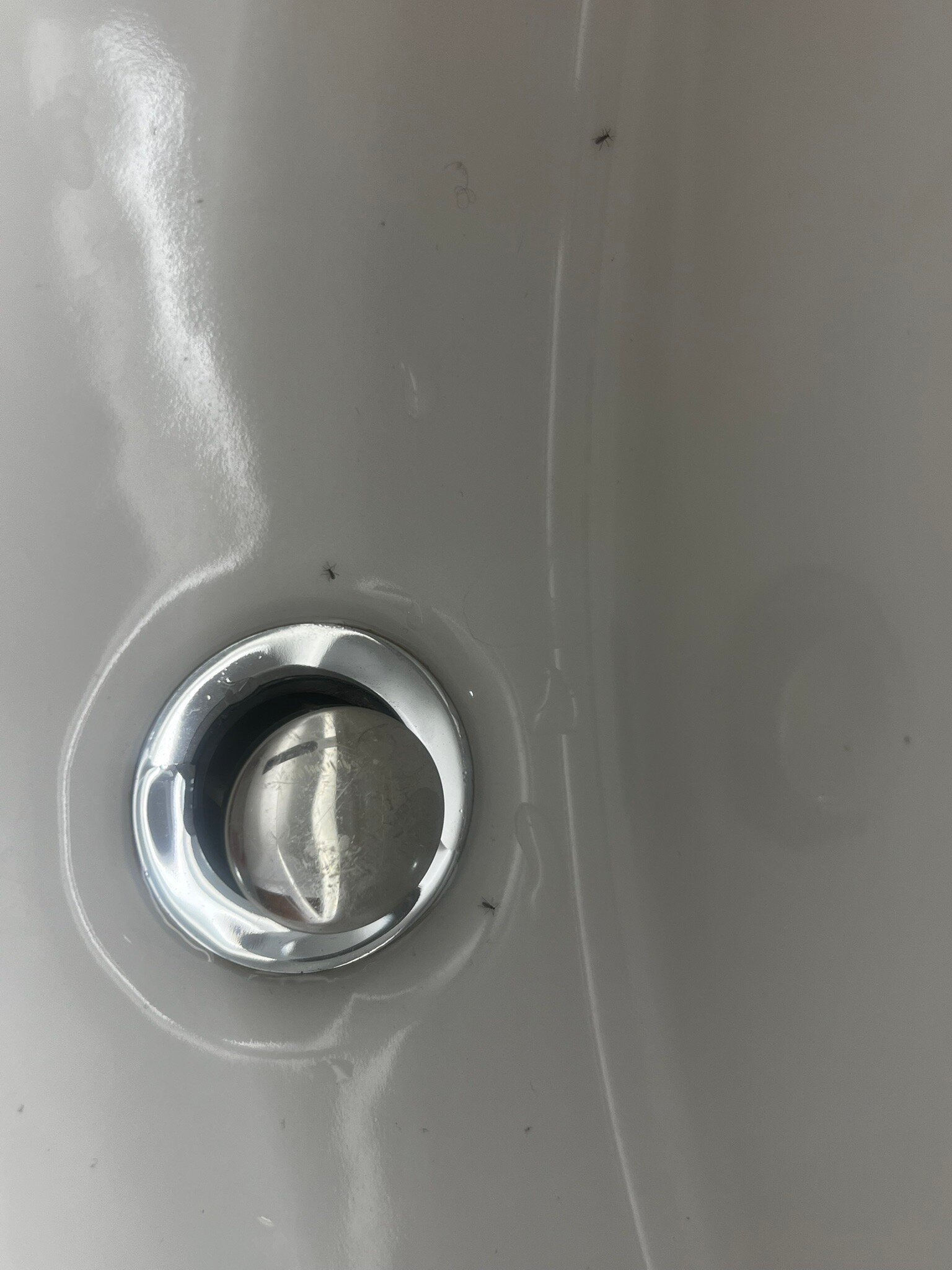 Marriott Dallas Allen Hotel & Convention Center-官方