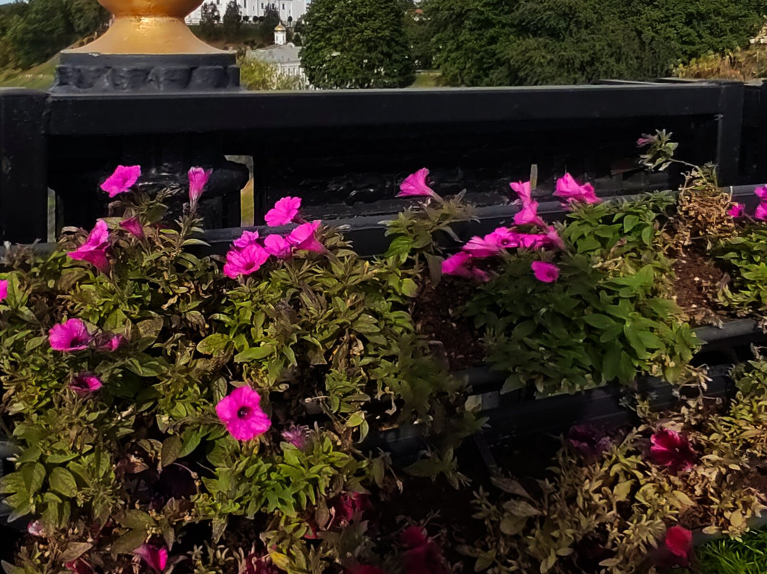 Kirovskiy Bridge-维捷布斯克必去景点