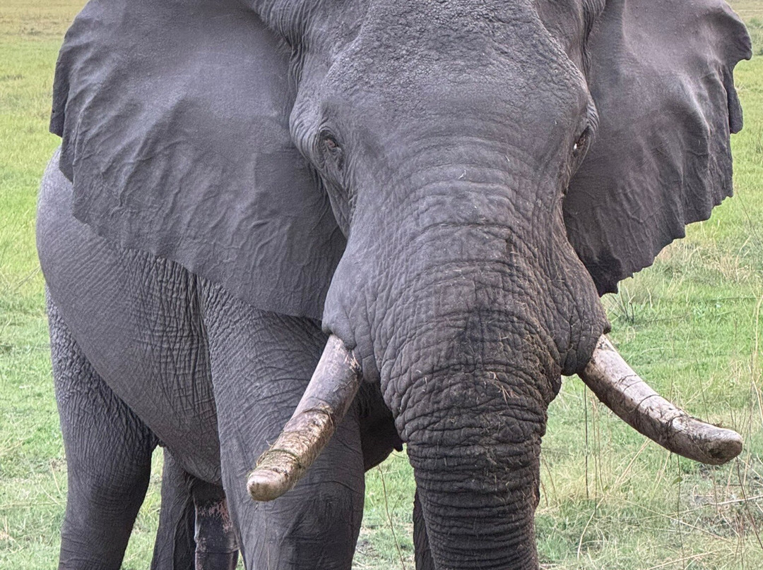 Embrace Safaris-马翁必去景点