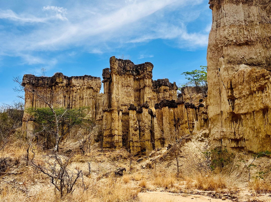 Mukuta Travels & Tours-Iringa必去景点