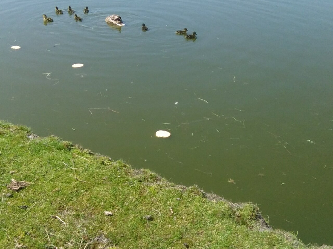 VVV Enkhuizen-恩克赫伊曾必去景点