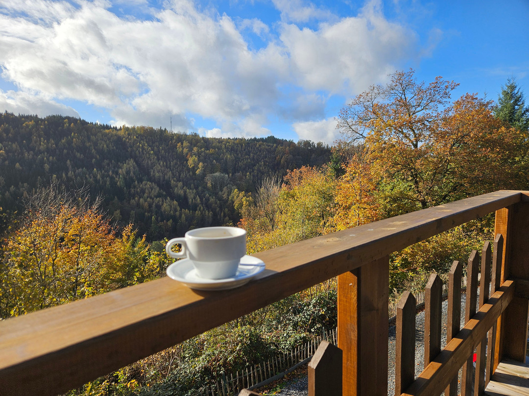 Chateau de La Roche-en-Ardenne-拉罗什—阿登必去景点