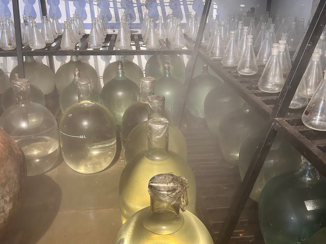 All About Alcohol-坎多林必去景点