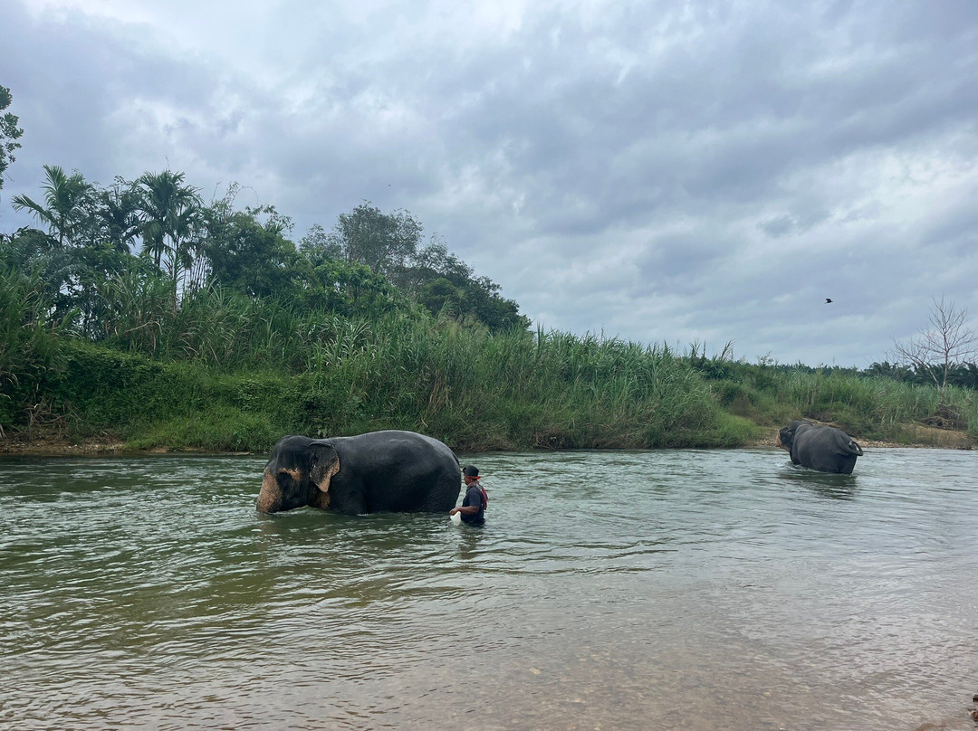 Khao Sok Elephant Sanctuary-拷索国家公园必去景点