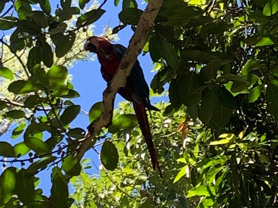Rio do Peixe-南马托格罗索州必去景点