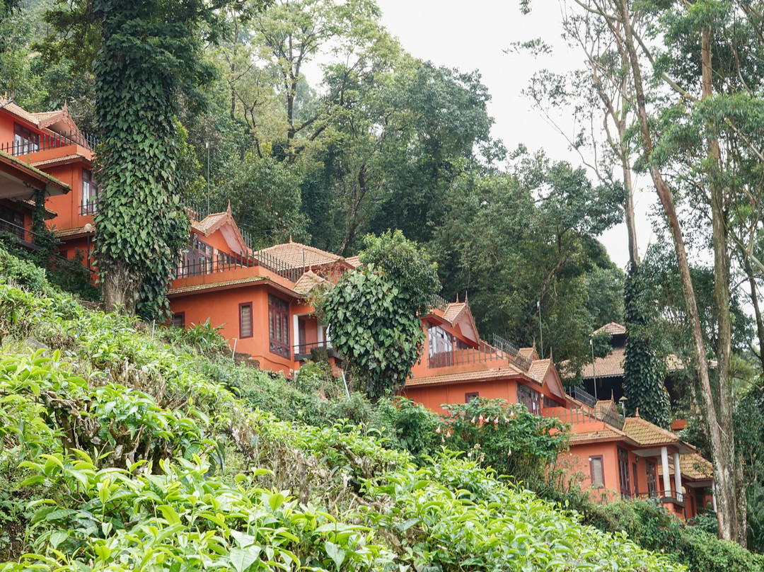 Blackberry Hills Munnar Nature Resort & Spa主图