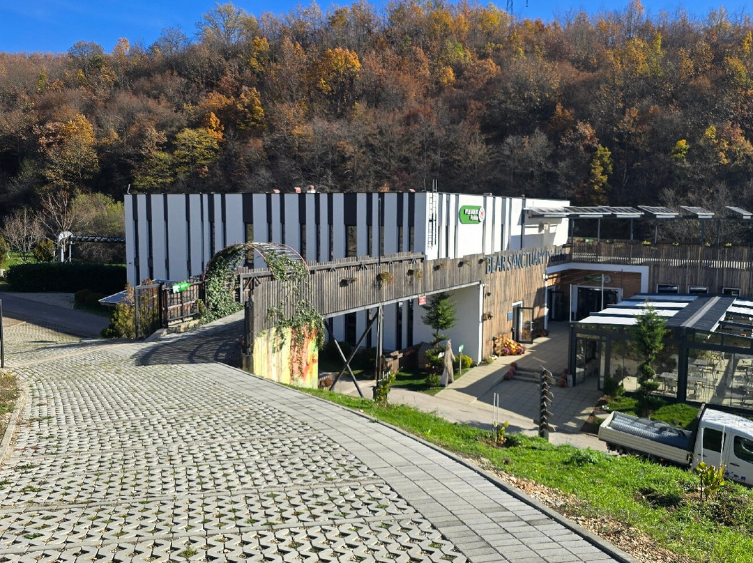 BEAR SANCTUARY Prishtina-普里什蒂纳必去景点