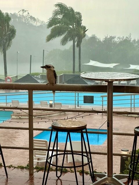 Opal Cove Resort-官方