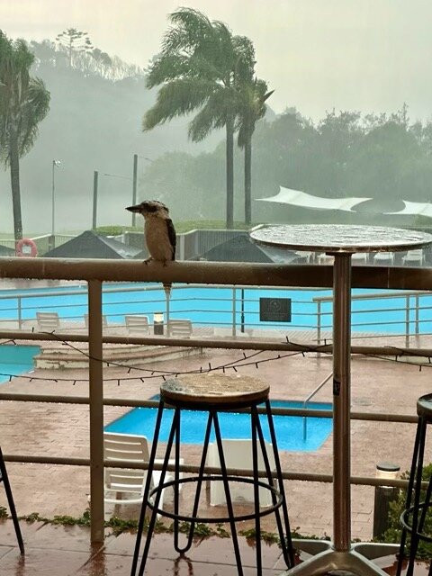 Opal Cove Resort主图