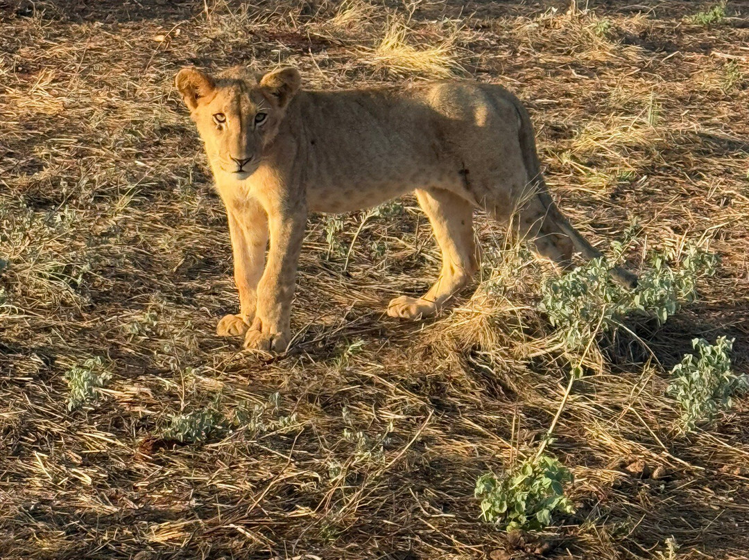 Agenzia Safari Vera Africa-东察沃国家公园必去景点