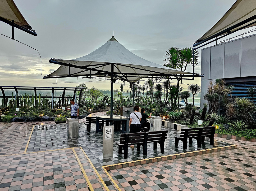 Cactus Garden-新加坡必去景点