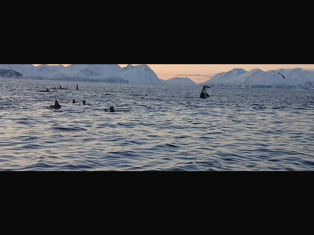 Freediving school - Apneists UK-曼彻斯特必去景点