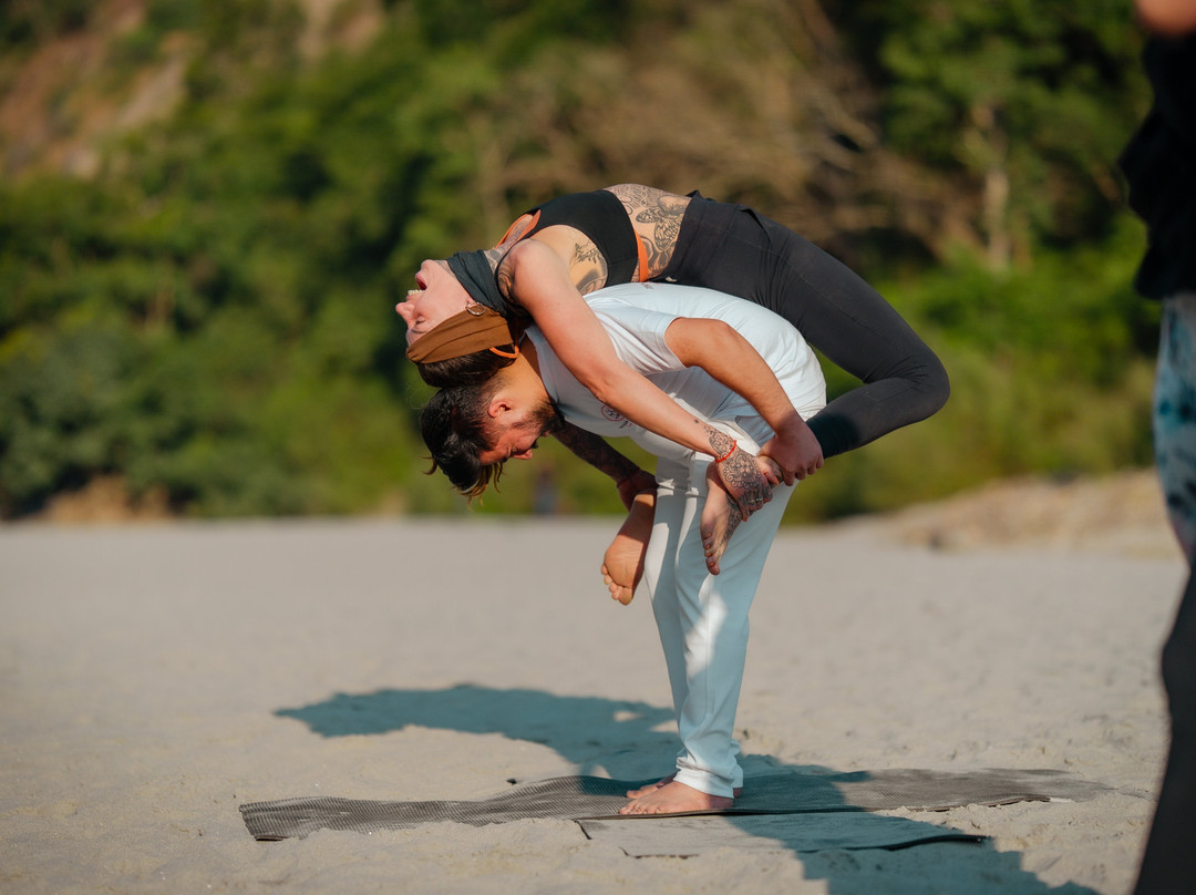 Vinyasa Yogashala-Tapovan必去景点