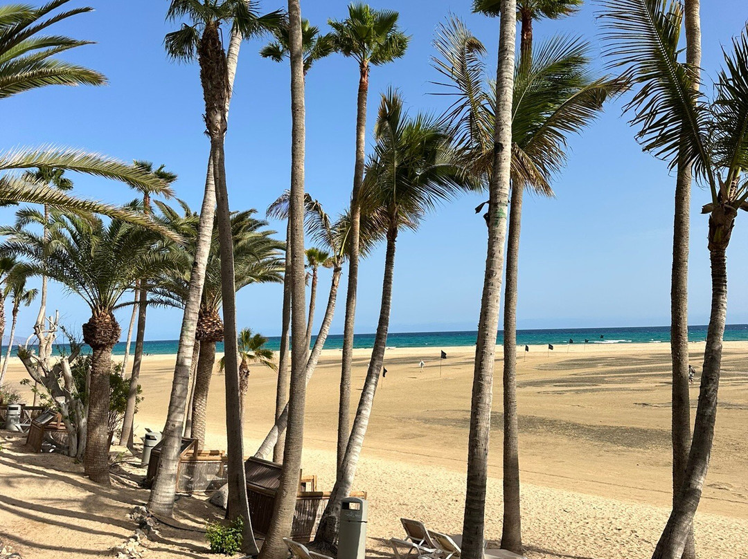 Playa de Sotavento-Costa Calma必去景点