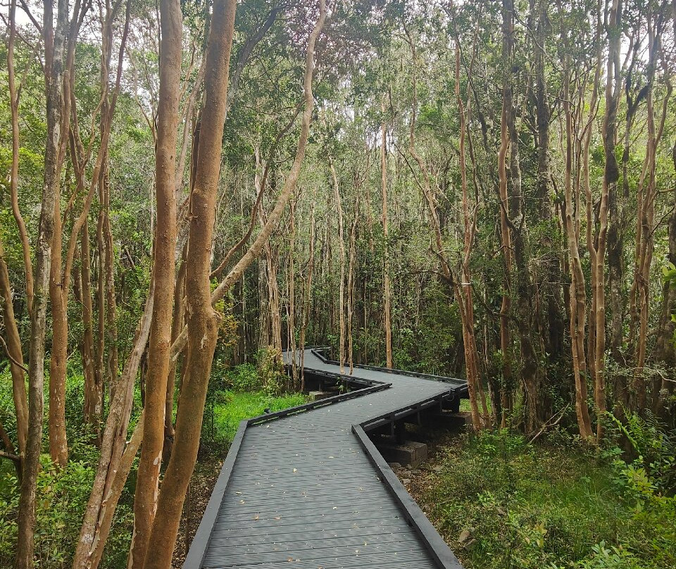 Termas del sol-Cochamo必去景点