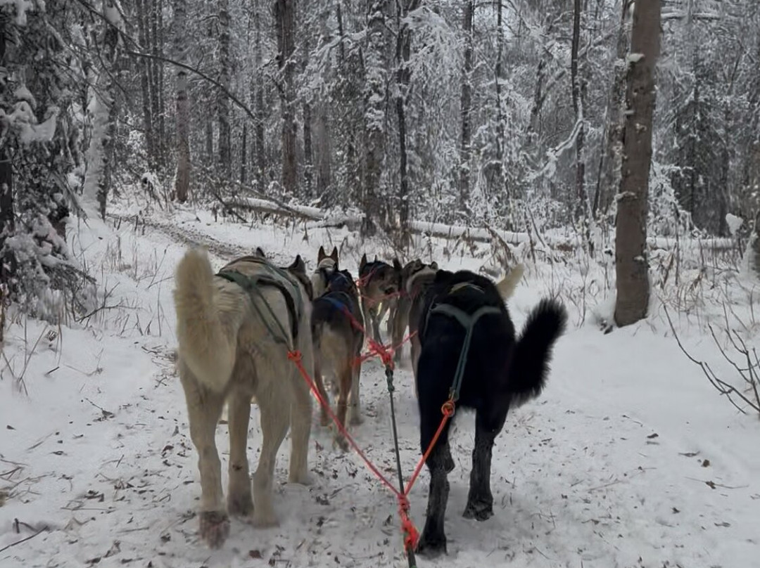 Snowhook Adventure Guides of Alaska-Willow必去景点
