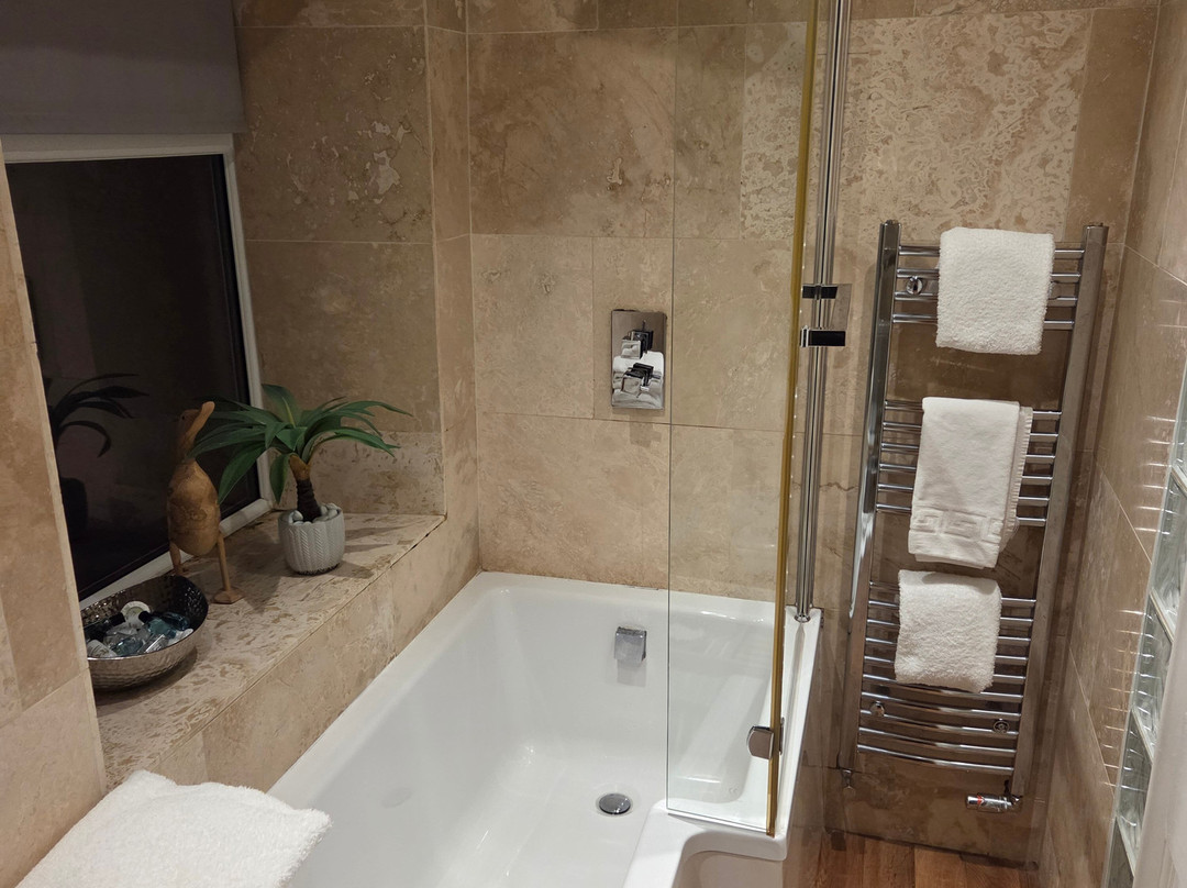 The Curious Fox主图