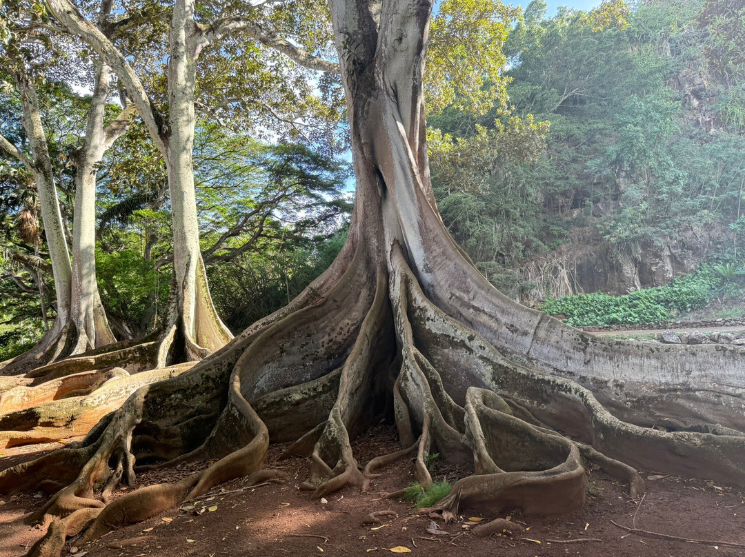 Allerton Garden-可洛亚必去景点