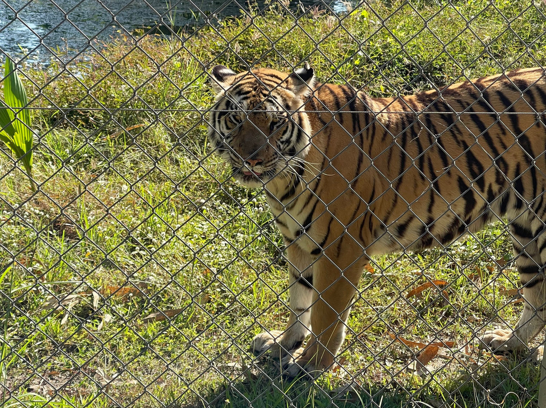 Wildlife Friends Foundation Thailand-他央必去景点