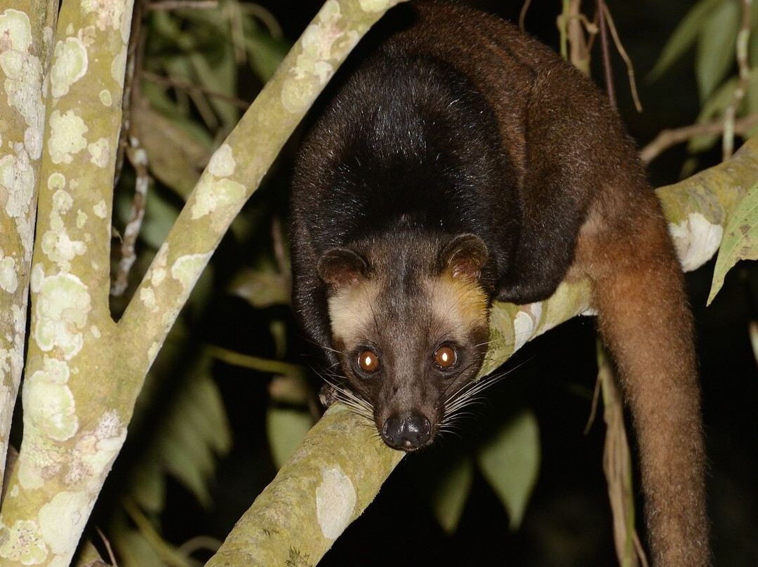 Ujung Kulon Trek-Carita必去景点