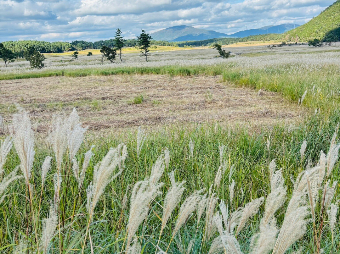 Tadewara Wetlands-九重町必去景点