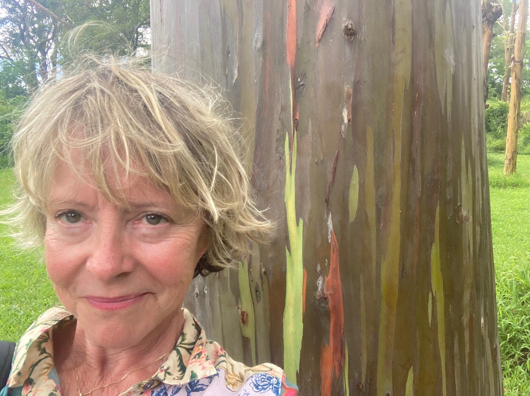 Lihue Koloa Forest Reserve