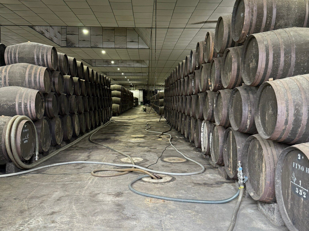 Bodegas Barbadillo-Sanlucar de Barrameda必去景点
