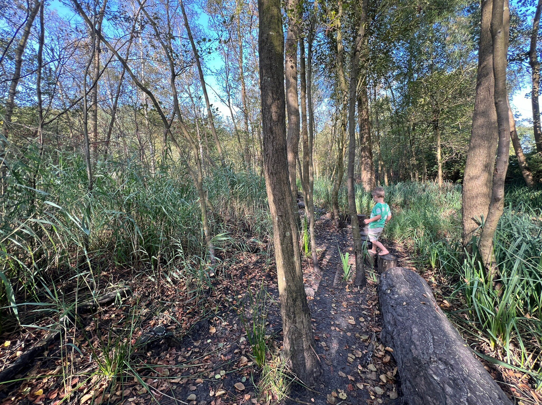 Buitencentrum Schoorlse Duinen Schoorl-Schoorl必去景点
