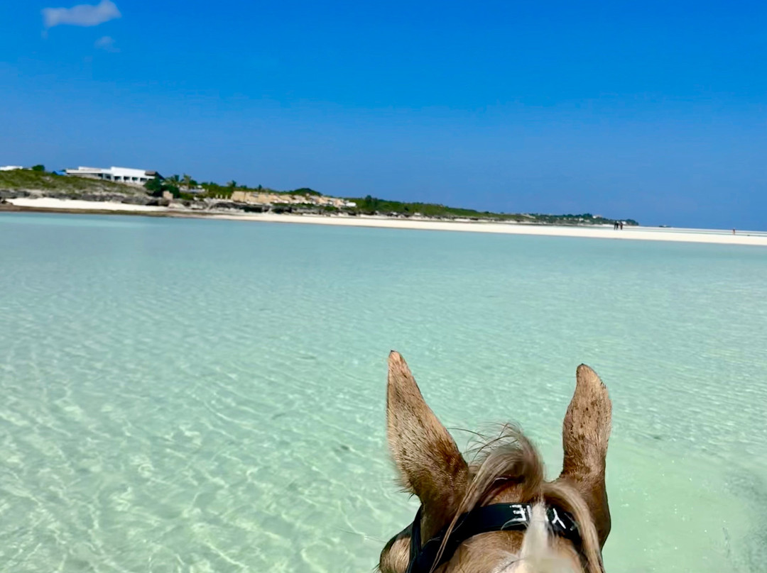 Zanzibar Horse Club-孥归必去景点