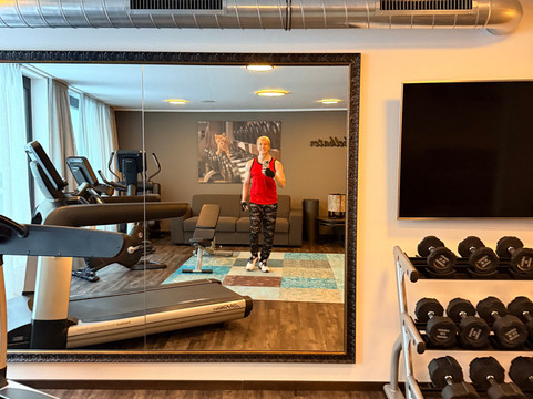 阿尔皮纳酒店主图