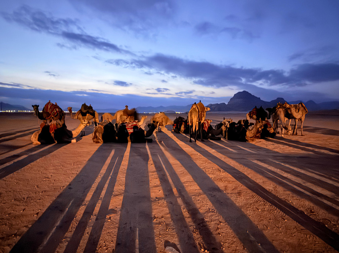 Trip500-安曼必去景点